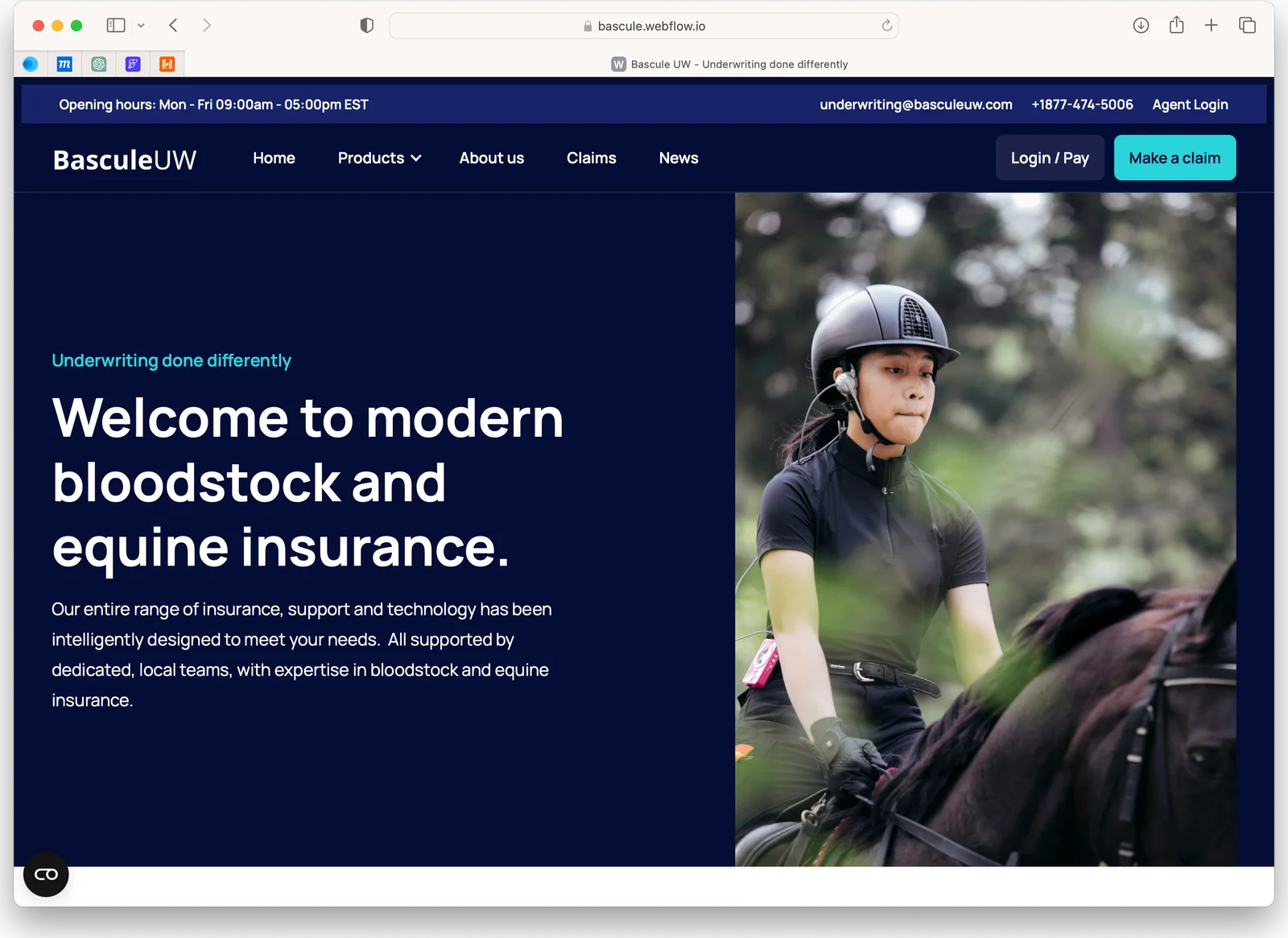 New Engaging Marketing Site: Bascule Insurance
